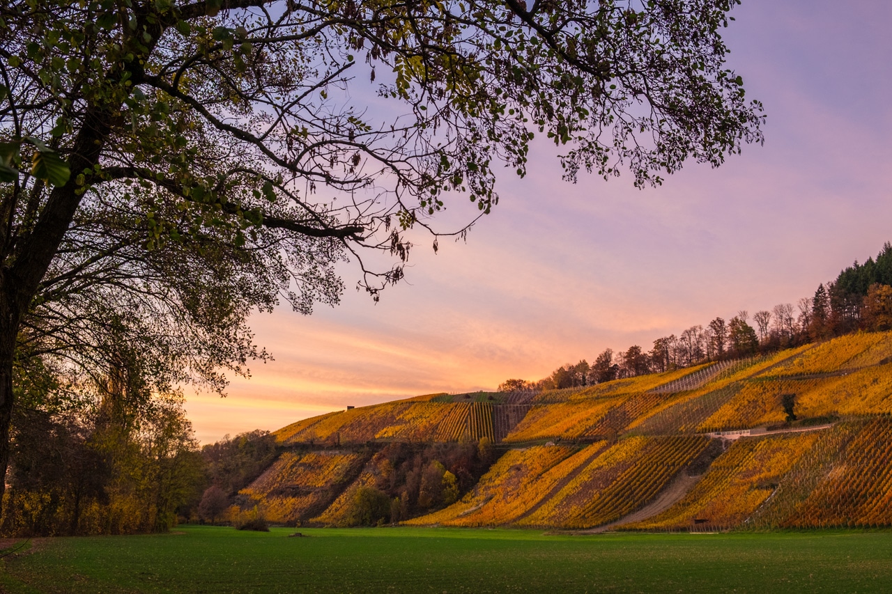Fotokurs: Landschaftsfotografie meistern